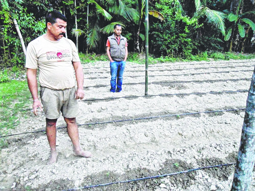 Montu Borah at his kitchen garden in Parbatiya